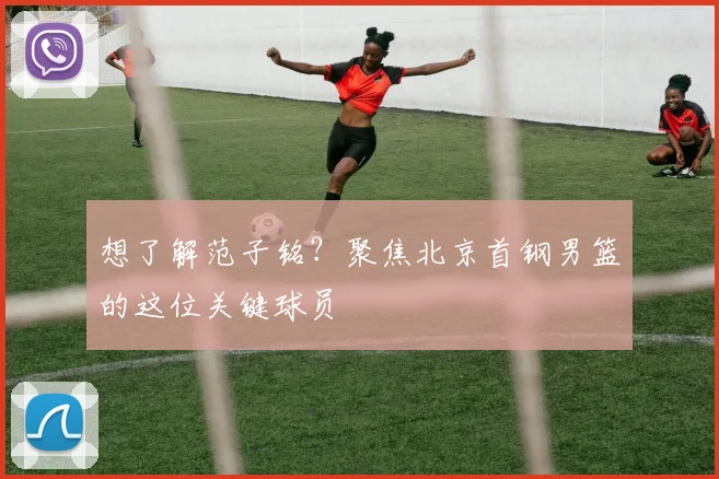 想了解范子铭？聚焦北京首钢男篮的这位关键球员
