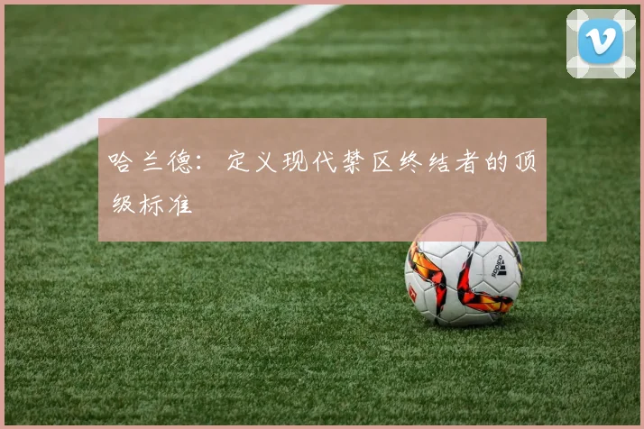 哈兰德:定义现代禁区终结者的顶级标准