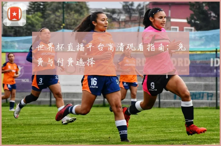 世界杯直播平台高清观看指南：免费与付费选择