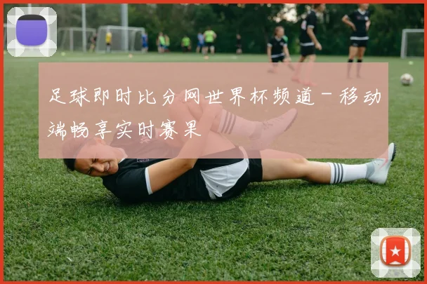 足球即时比分网世界杯频道 - 移动端畅享实时赛果
