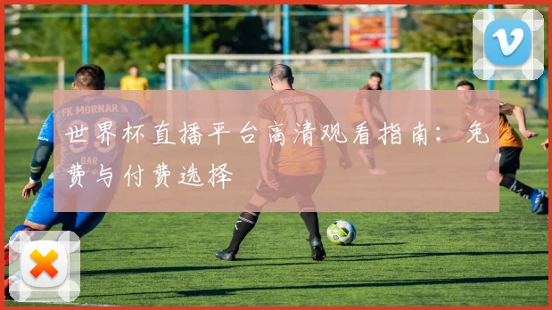 世界杯直播平台高清观看指南：免费与付费选择